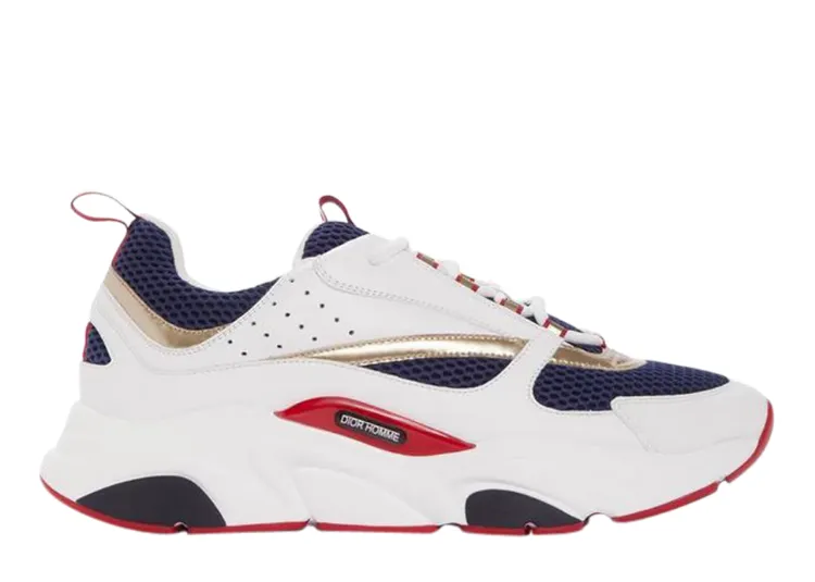 DIOR B22 ‘WHITE DARK BLUE’