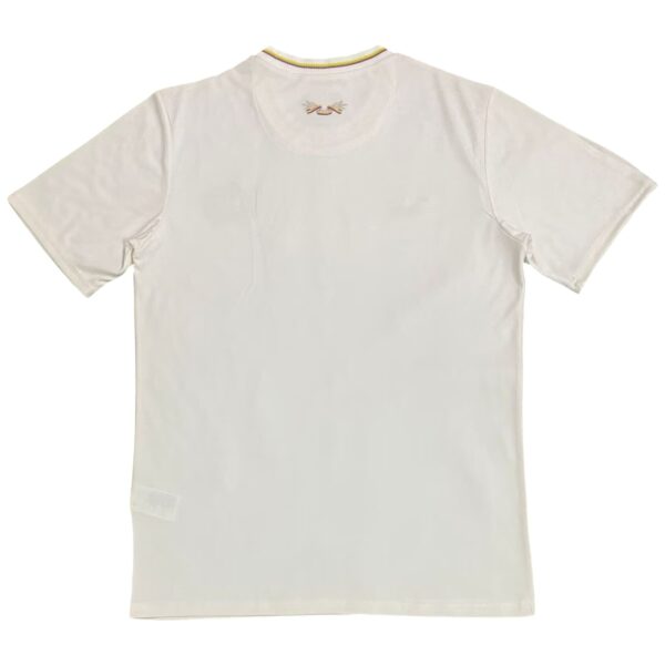 Camiseta Colombia 2024-2025 Centenario Entrenamiento