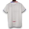 Camiseta Olympique de Lyon 2008-2009 Local