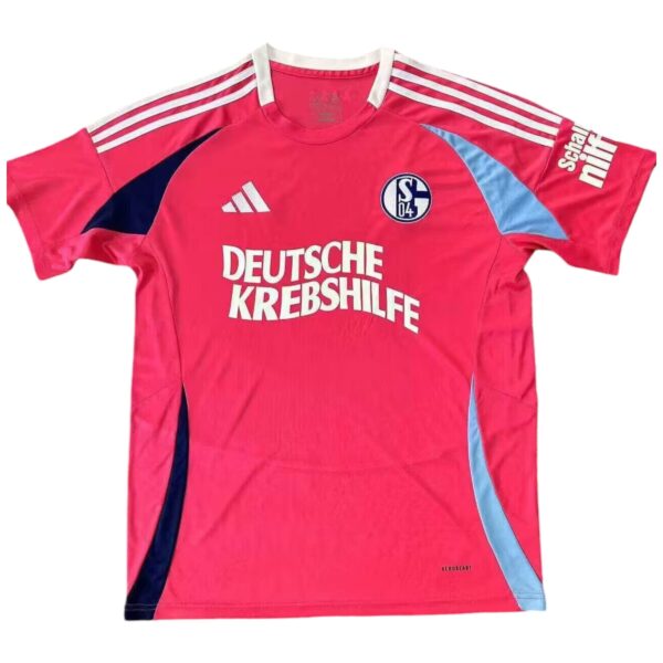 Camiseta Schalke 04 2024-2025 Portero Pink October
