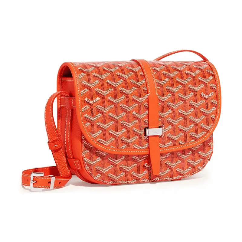 Goyard Bag