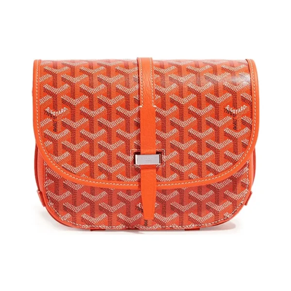 Goyard Bag
