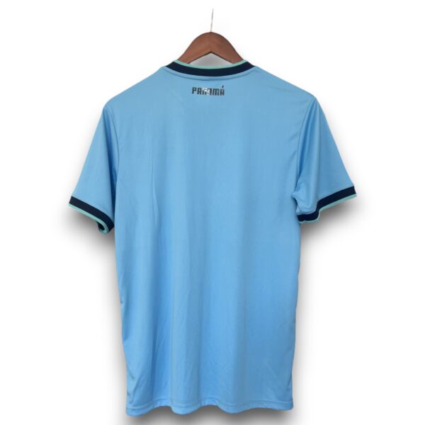 Camiseta Panama 2025-2026 Visitante