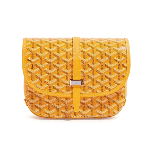 Goyard Bag