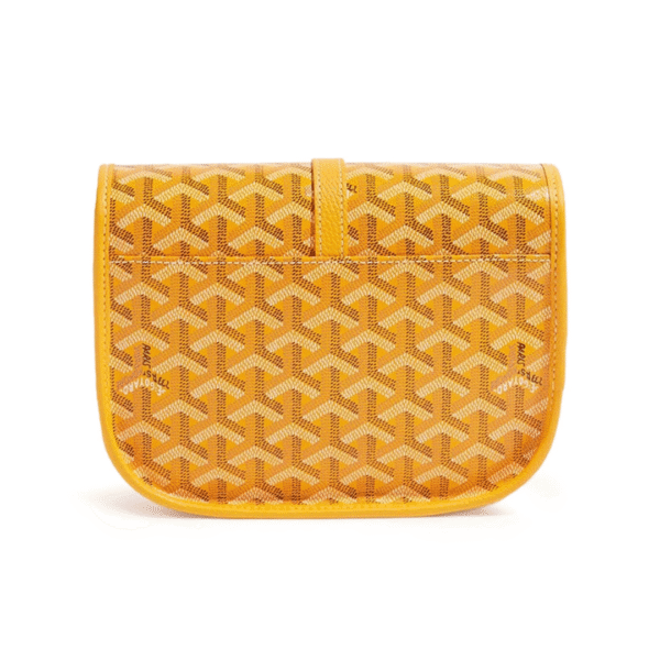 Goyard Bag