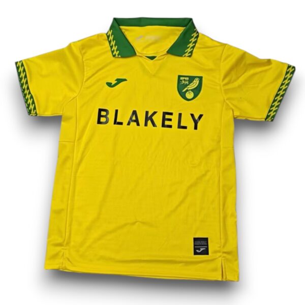 Camiseta Norwich City 2025-2026 Local