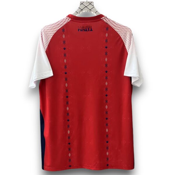 Camiseta Haiti 2025-2026 Alternativa