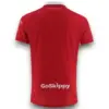 Camiseta Bristol City 2025-2026 Local