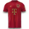 Camiseta Bayern Múnich 2024-2025 Aniversario