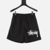 Pants Stussy