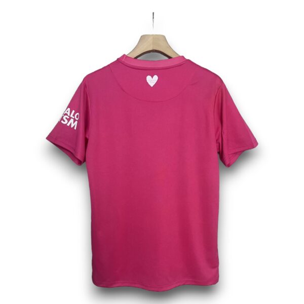 Camiseta Ipswich Town 2024-2025 Alternativa