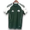 Camiseta Panathinaikos 2025-2026 Local