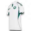 Panathinaikos-25-26-white-away-4.webp Camiseta Panathinaikos 2025-2026 Visitante