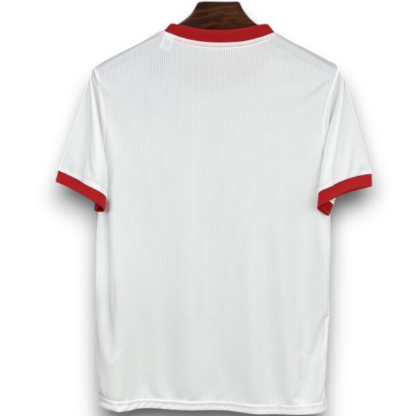 Camiseta Benfica 2025-2026 Alternativa Aniversario