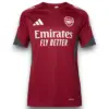 Camiseta Arsenal 2025-2026 Entrenamiento UCL