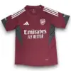 Camiseta Arsenal 2025-2026 Entrenamiento UCL