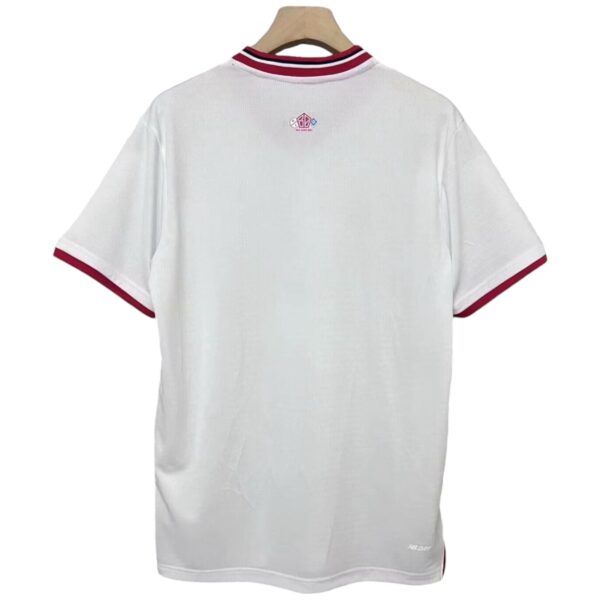 Camiseta Lille 2024-2025 80th aniversario