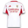 Camiseta Benfica 2025-2026 Alternativa