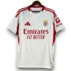 Camiseta Benfica 2025-2026 Alternativa