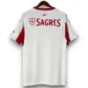 Camiseta Benfica 2025-2026 Alternativa