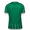 Camiseta Werder Bremen 2025-2026 Local