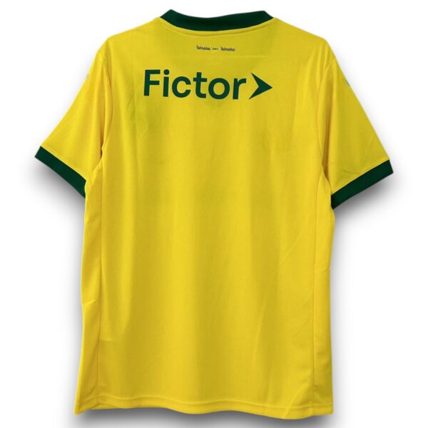 Camiseta Palmeiras 2025-2026 Alternativa