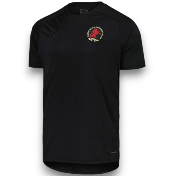 Camiseta Aston Villa 2024-2025 Especial