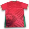 Camiseta Camerun 2025-2026 Visitante