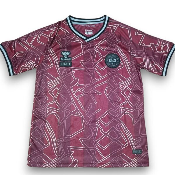 Camiseta Dinamarca 2024-2025 Especial