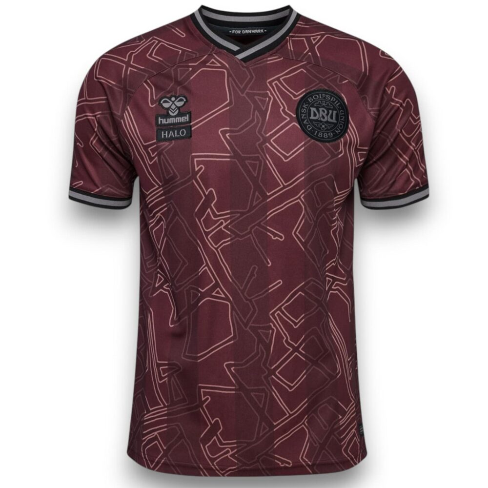 Camiseta Dinamarca 2024-2025 Especial