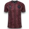 Camiseta Dinamarca 2024-2025 Especial
