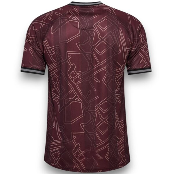 Camiseta Dinamarca 2024-2025 Especial