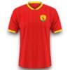 Camiseta Guinea 2024-2025 Local