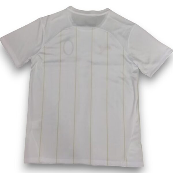 Camiseta Milán 2024-2025 Entrenamiento Aniversario