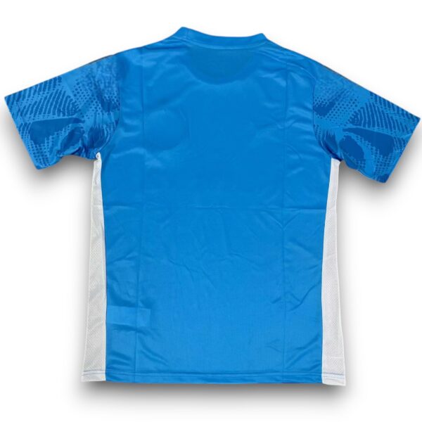 Camiseta Palmeiras 2025-2026 Portero Local