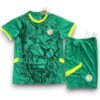 Camiseta Senegal 2024-2025 Visitante