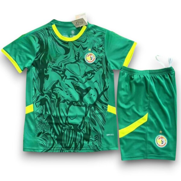 Camiseta Senegal 2024-2025 Visitante