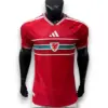 Camiseta Gales 2025-2026 Local – Version Pro Player