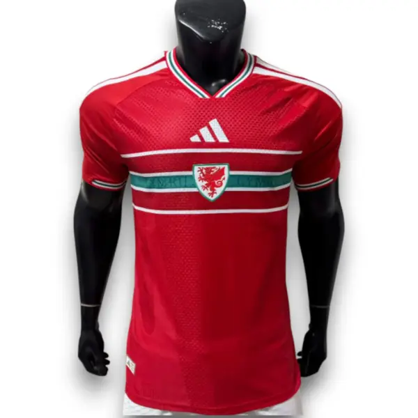 Camiseta Gales 2025-2026 Local – Version Pro Player