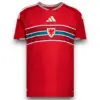 Camiseta Gales 2026 Local