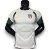 Camiseta Italia 2025-2026 Visitante Entrenamiento – Version Pro Player