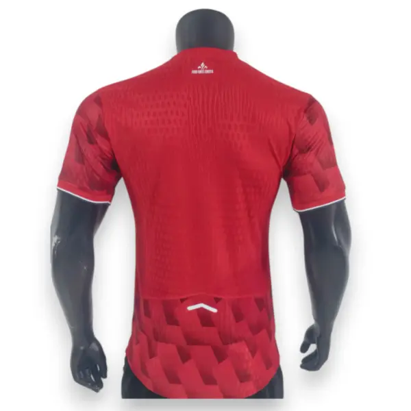 Camiseta Lille 2025-2026 Local – Version Pro Player