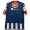 Camiseta Monterrey 2009-2010 Local