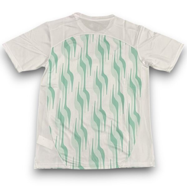 Camiseta Palmeiras 2025 Entrenamiento