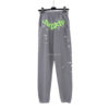 Sp5der Pants - Gris