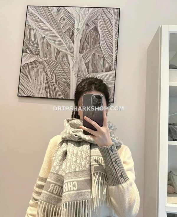 3b073fae Bufanda DIOR
