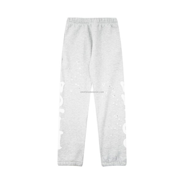 Sp5der Pants - Gris