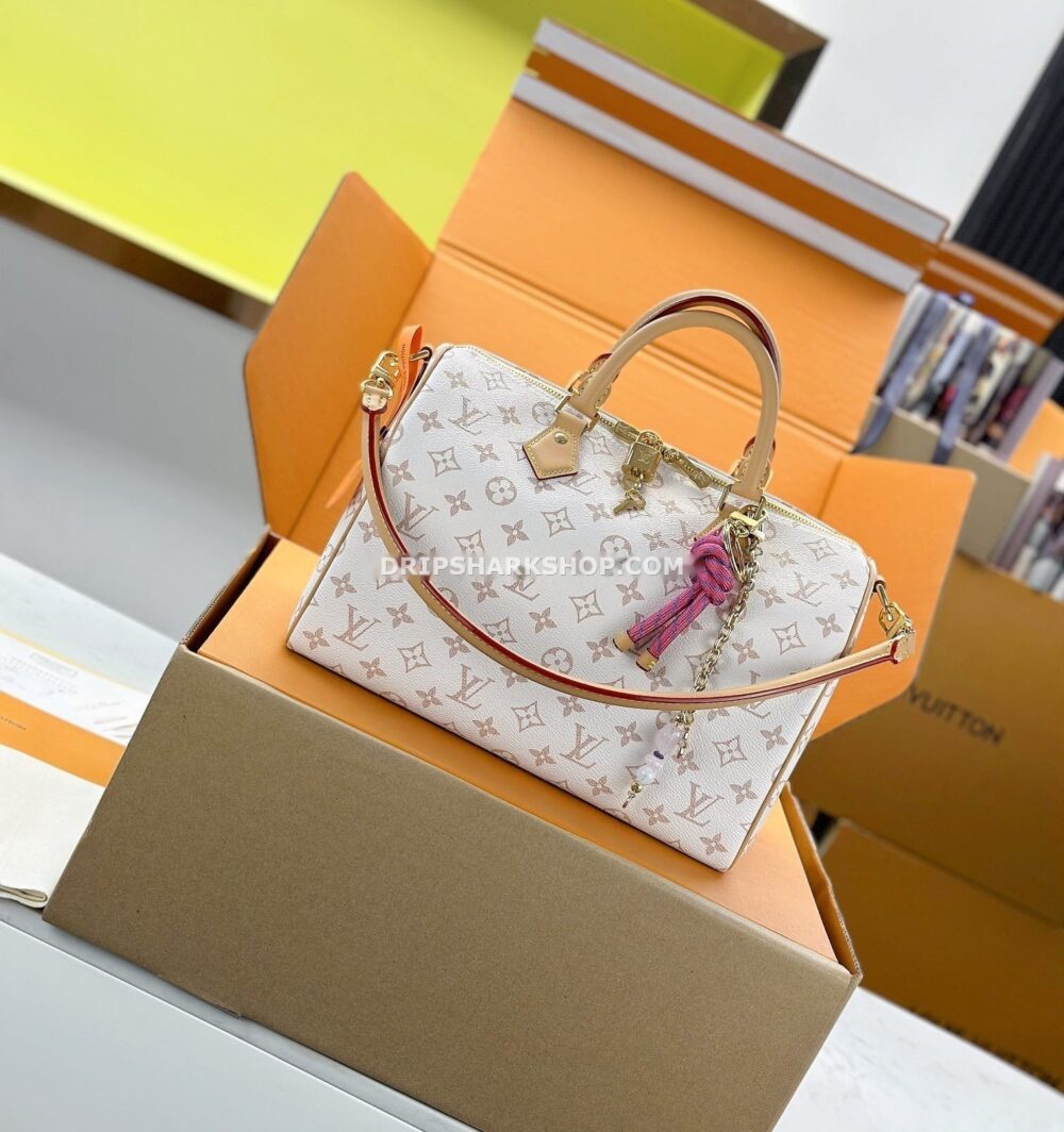 71f571ed LOUIS VUITTON Bolso