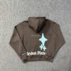 BROKEN PLANET Hoodie - Marrón