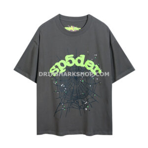 Sp5der T-shirt - Gris